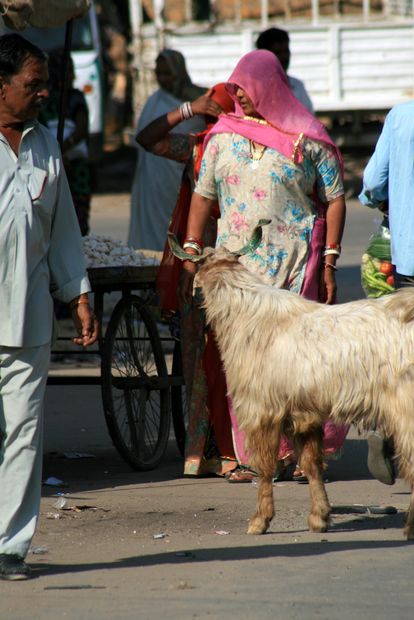 Dans les rues de Jaisalmer