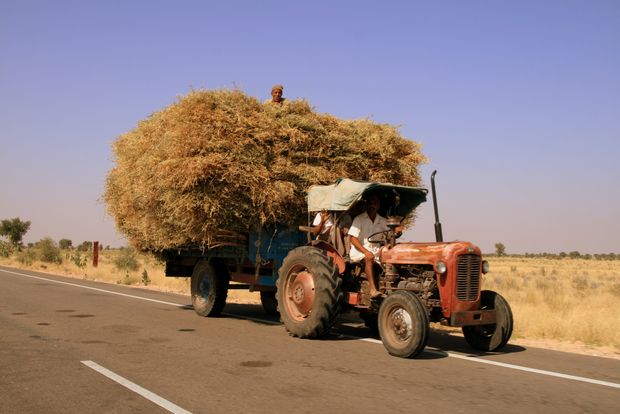 Tracteur au Rajasthan