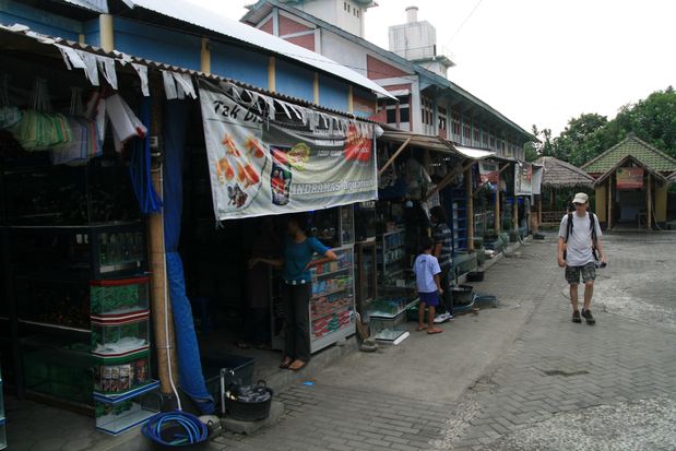 Marché aux poissons de Yogyakarta. Java.