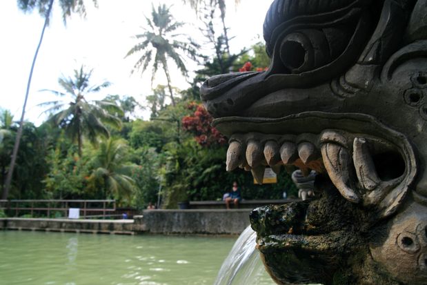 Source de Banjar. Bali.