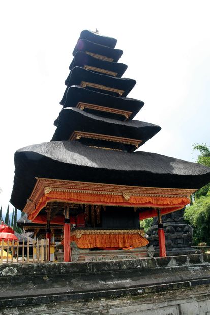 Grenouille au Pura Ulun Danu Bratan à Bali