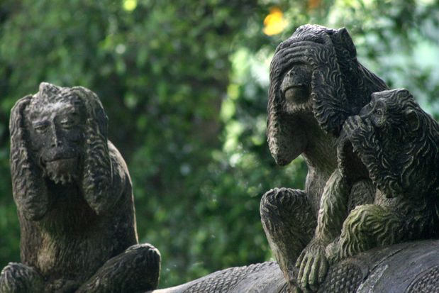 Les singes de la sagesse. Ne rien entendre, ne rien voir, ne rien dire (Monkey Forest à Ubud. Bali.)