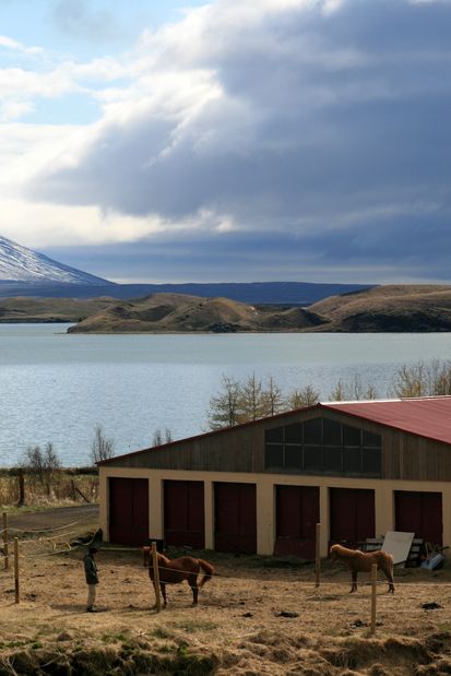 Kalfastrond Hofdi