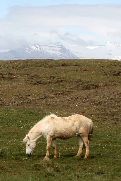 Hoffellsjokull