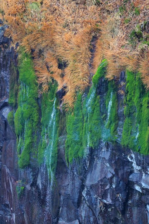 Furepe falls (Utoro)
Altitude : 161 mètres