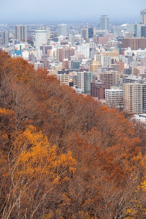 Sapporo
Altitude : 203 mètres