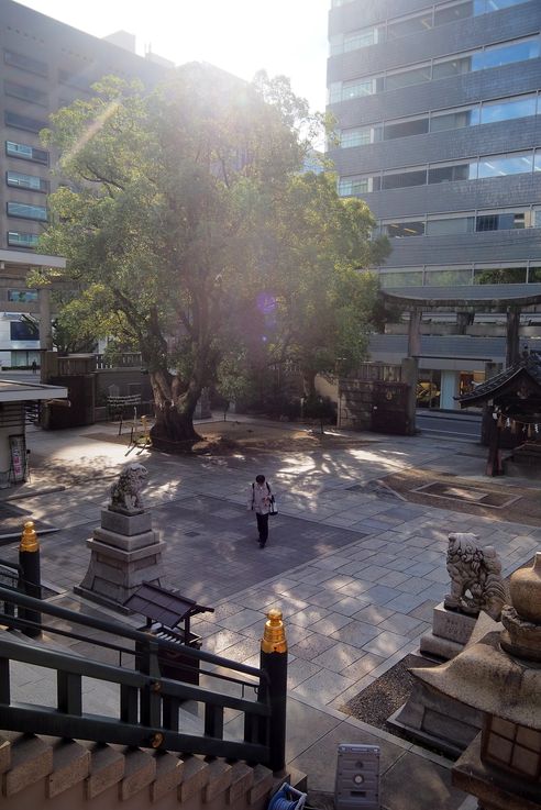 Temple Namba Jinja
Altitude : 40 mètres