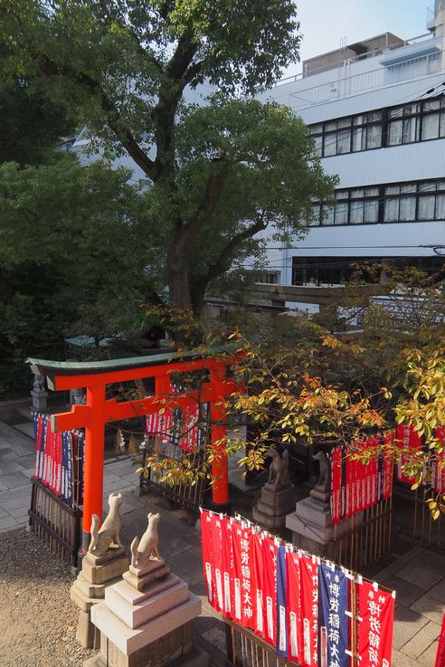 Temple Namba Jinja
Altitude : 40 mètres