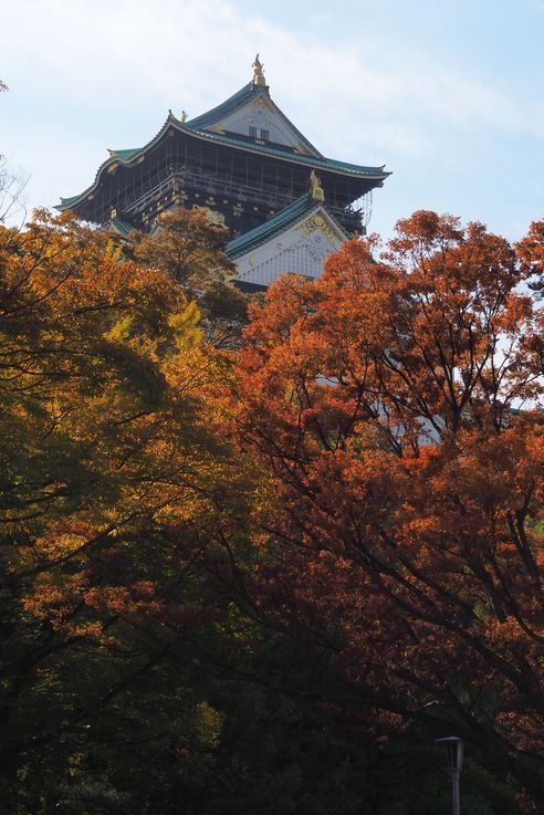 Le Château d'Osaka
Altitude : 49 mètres