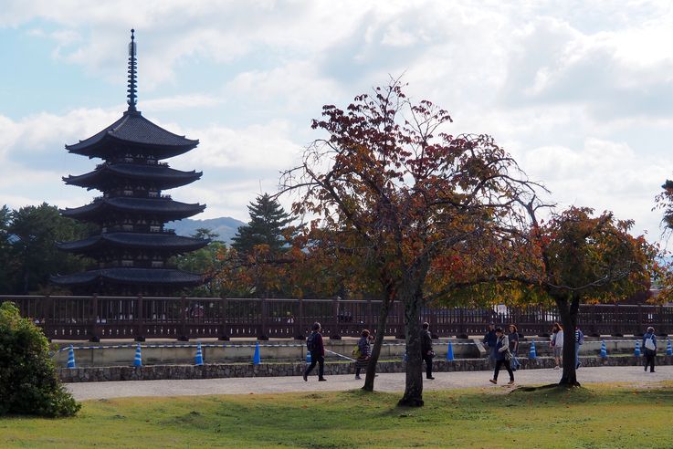 Kofukuji Pagode A Cinq Niveaux (Nara)
Altitude : 146 mètres