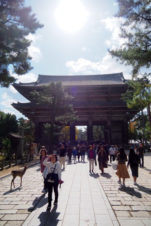 Todaiji Nandaimon (Nara)
Altitude : 141 mètres