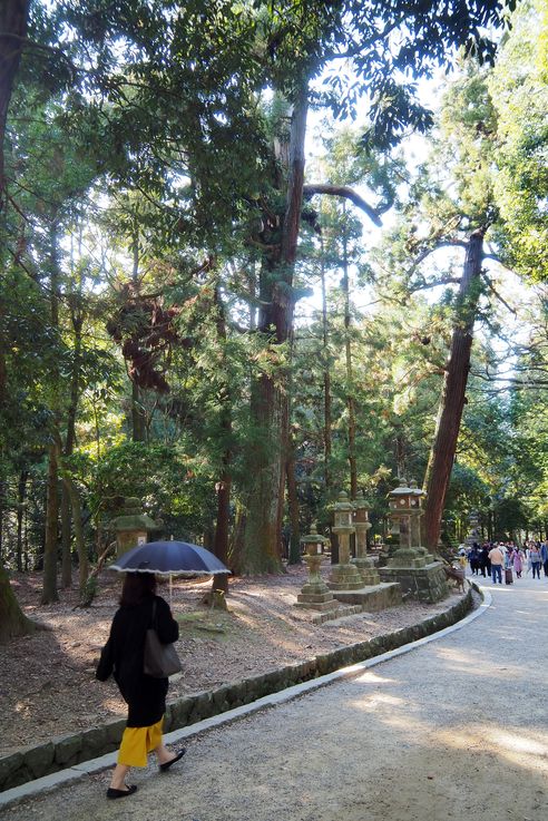 Todaiji Daibutsu Den (Nara)
Altitude : 178 mètres