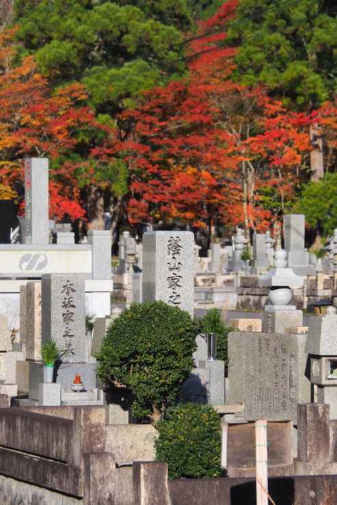 Cimetiere d'Okunoin
Altitude : 842 mètres