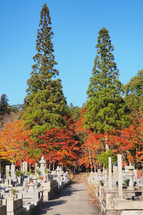 Cimetiere d'Okunoin
Altitude : 824 mètres