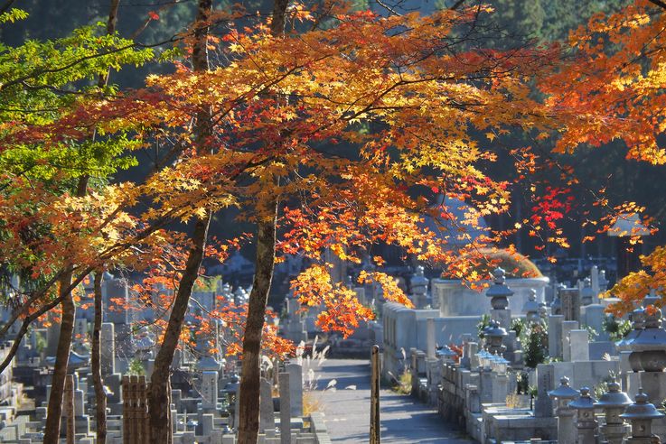 Cimetiere d'Okunoin
Altitude : 571 mètres