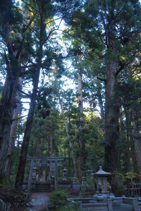 Cimetiere d'Okunoin
Altitude : 852 mètres