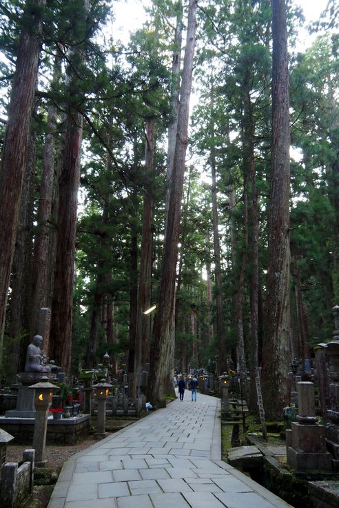 Cimetiere d'Okunoin
Altitude : 825 mètres