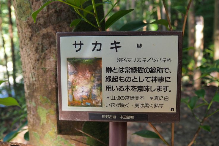 Takijiriojimiyatogo Shrine (Kumano Kodo)
Altitude : 123 mètres