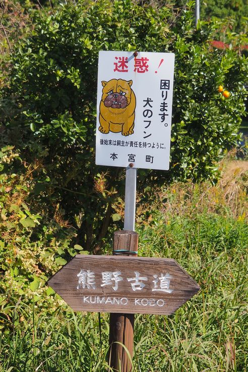 Sur les chemins de Kumano Kodo
Altitude : 149 mètres