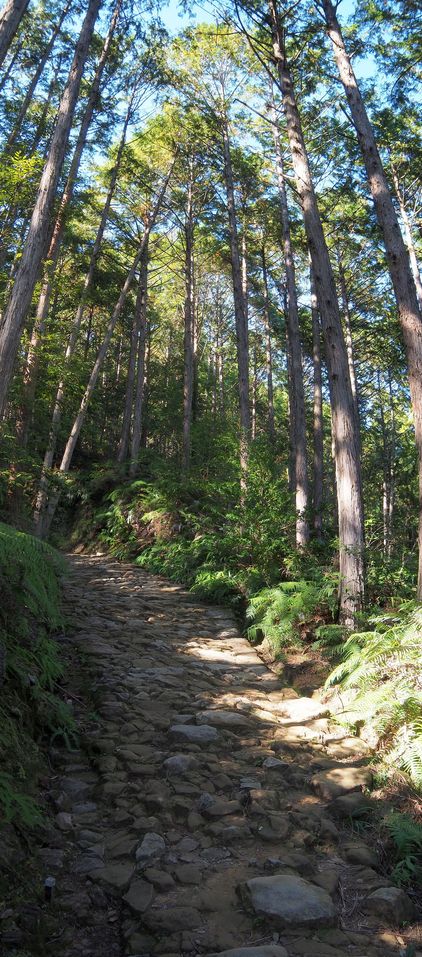 Sur les chemins de Kumano Kodo