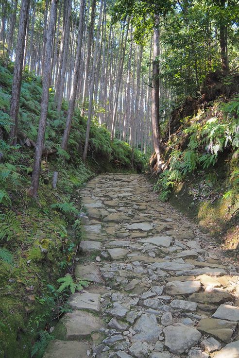 Sur les chemins de Kumano Kodo
Altitude : 193 mètres