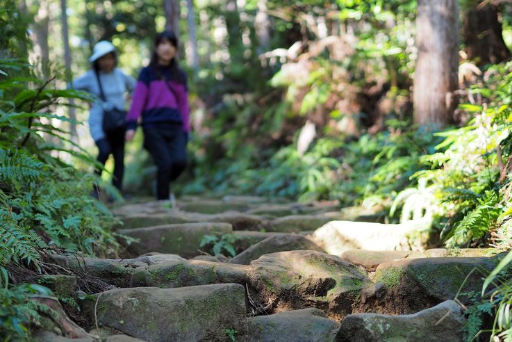 Sur les chemins de Kumano Kodo
Altitude : 225 mètres