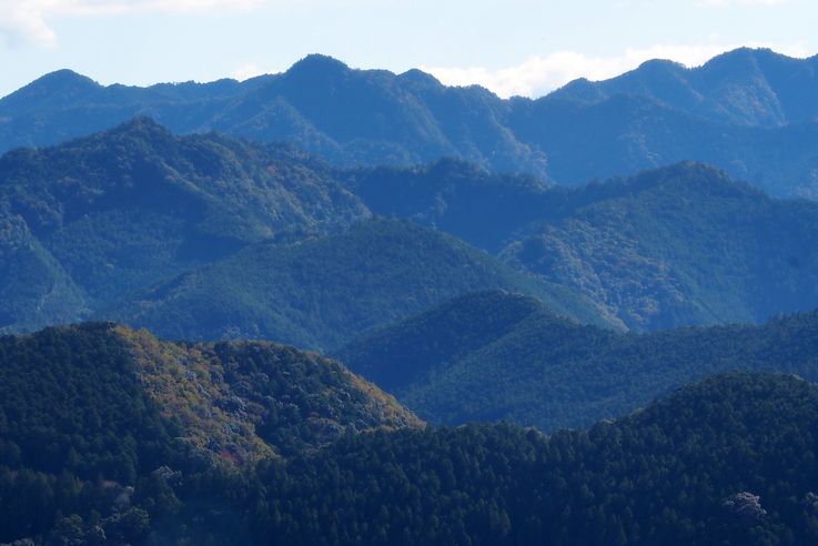 Torii Oyunohara (Tanabe)
Altitude : 264 mètres