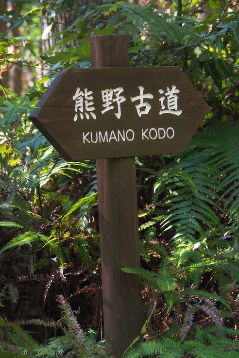 Sur les chemins de Kumano Kodo
Altitude : 245 mètres