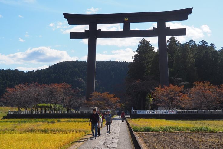 Torii Oyunohara (Tanabe)
Altitude : 108 mètres