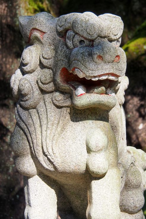 Sur les chemins de Kumano Kodo
Altitude : 108 mètres