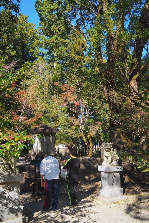 Sur les chemins de Kumano Kodo
Altitude : 106 mètres