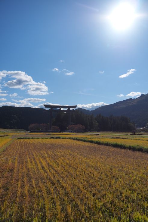 Torii Oyunohara (Tanabe)
Altitude : 116 mètres