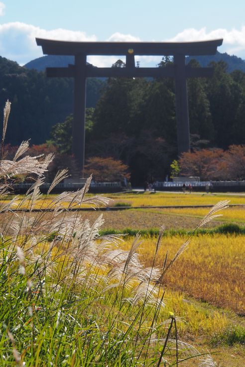 Torii Oyunohara (Tanabe)
Altitude : 114 mètres