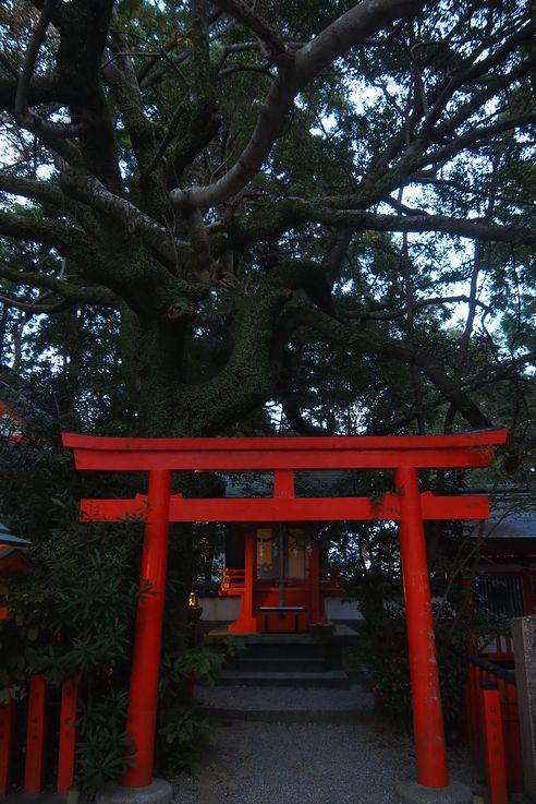 Le sanctuaire Kumano Hayatama Taisha
Altitude : 56 mètres