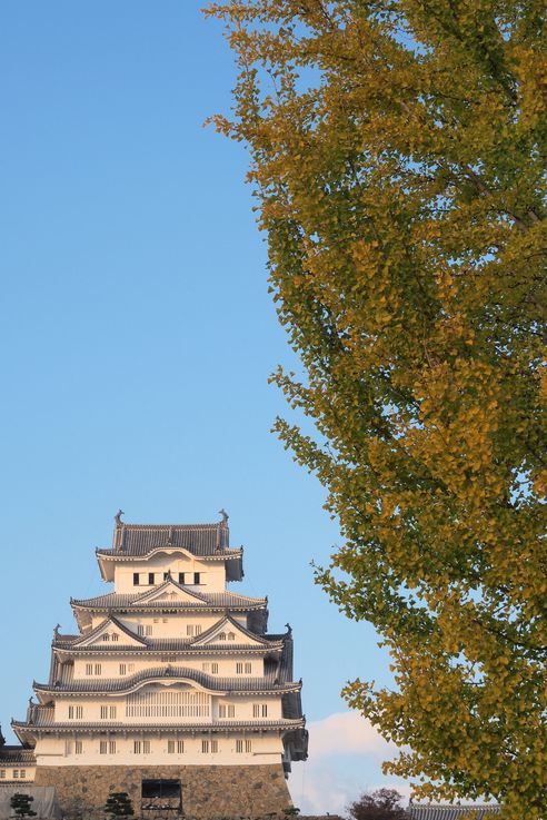 Le château Himeji-Jo
Altitude : 60 mètres