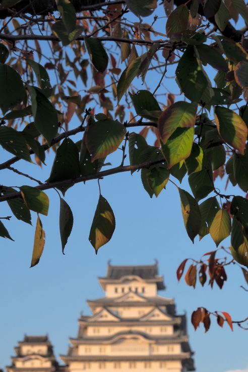 Le château Himeji-Jo
Altitude : 59 mètres