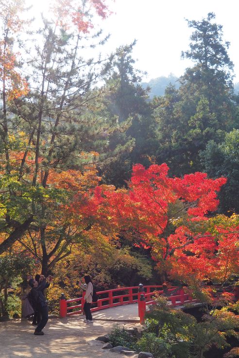 Parc Momijidani (Miyajima)
Altitude : 53 mètres