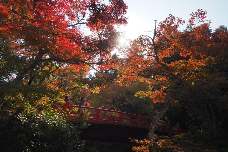 Parc Momijidani (Miyajima)
Altitude : 56 mètres