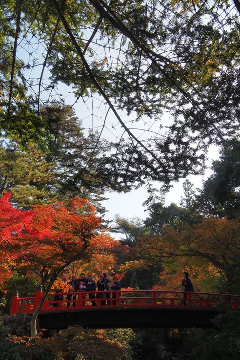 Parc Momijidani (Miyajima)
Altitude : 59 mètres