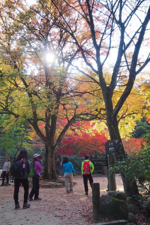 Parc Momijidani (Miyajima)
Altitude : 59 mètres