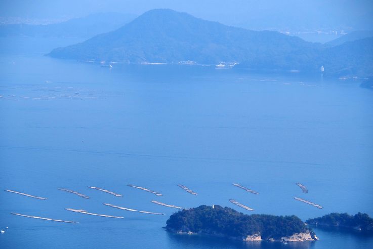 Sur le Mont Misen (Miyajima)
Altitude : 477 mètres