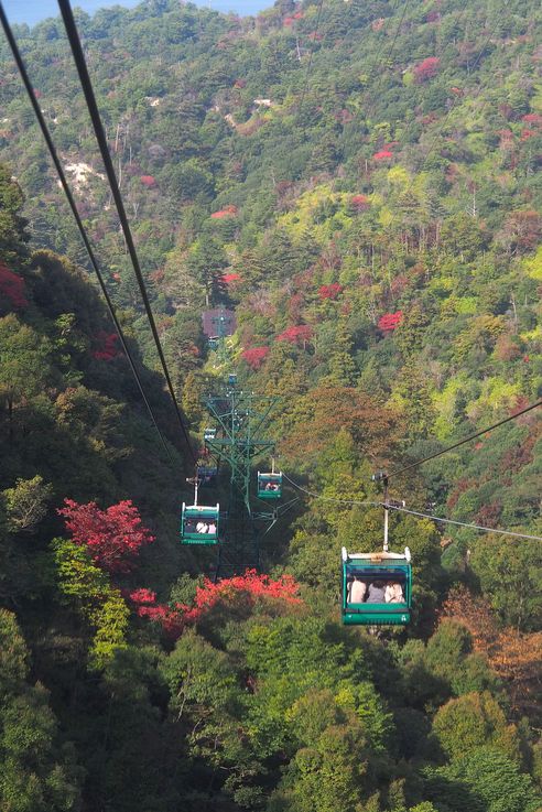 Ropeway Sur le Mont Misen (Miyajima)
Altitude : 316 mètres