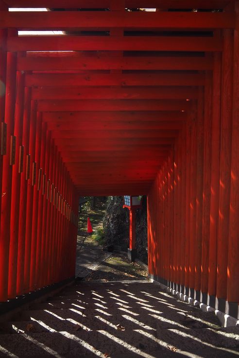 Sanctuaire Taikodani Inari Jinja (Tsuwano)
Altitude : 216 mètres