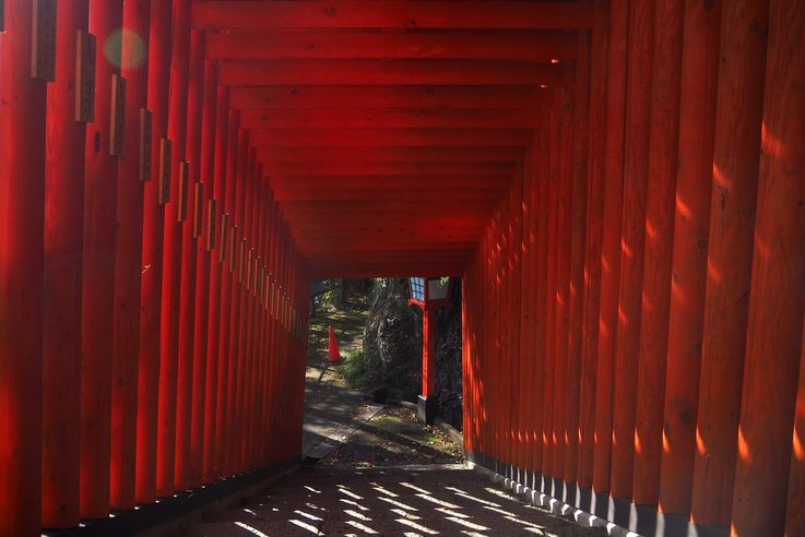 Sanctuaire Taikodani Inari Jinja (Tsuwano)
Altitude : 215 mètres