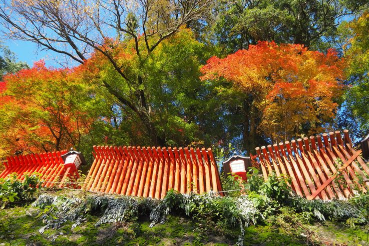 Sanctuaire Taikodani Inari Jinja (Tsuwano)
Altitude : 218 mètres