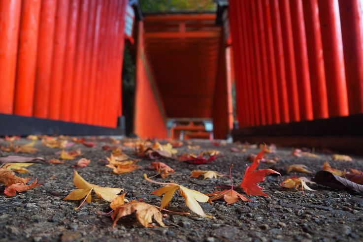 Tsuwano : sanctuaire Taikodani Inari Jinja