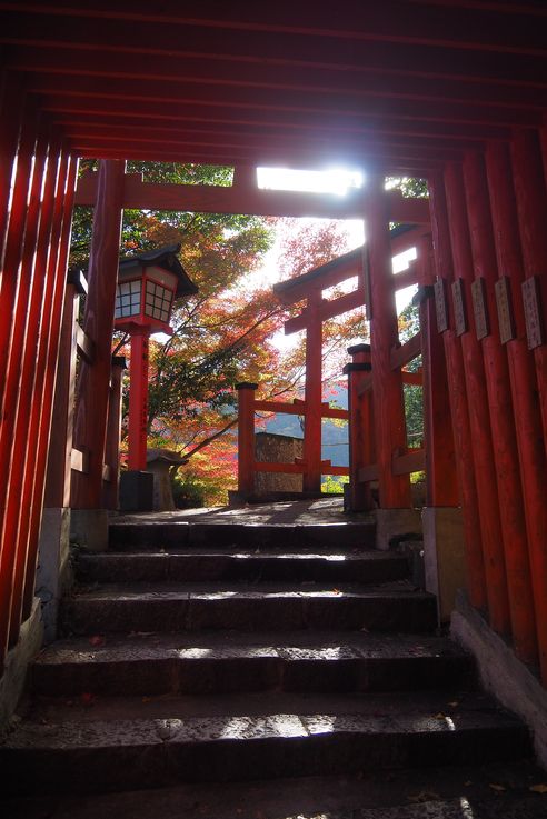 Sanctuaire Taikodani Inari Jinja (Tsuwano)
Altitude : 237 mètres