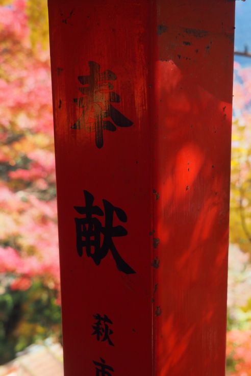 Sanctuaire Taikodani Inari Jinja (Tsuwano)
Altitude : 250 mètres