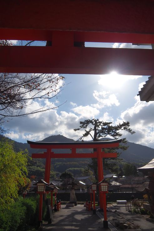 Sanctuaire Taikodani Inari Jinja (Tsuwano)
Altitude : 206 mètres