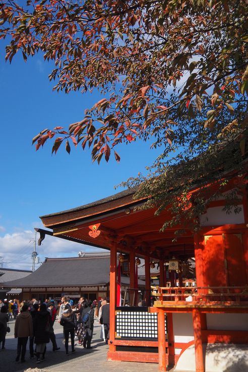 Sanctuaire Fushimi Inari (Kyoto)
Altitude : 82 mètres